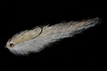 Flundere Kinky rainbow