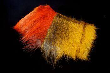 FutureFly Nutria