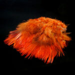 Golden Pheasant Body Feathers - fluo orange