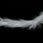 H2O Flash Blend Baitfish Brush - white