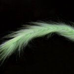 H2O Polar Fibre Streamer Brush - chartreuse + white