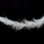 H2O Sculpting Flash Fibre Baitfish Brush - white