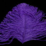 Ostrich Glory Feather - purple