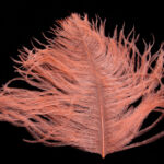 Ostrich Glory Feather - salmon