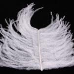 Ostrich Glory Feather - white
