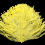 Ostrich Glory Feather - yellow