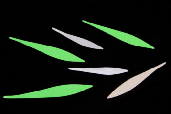 Pacchiarini Wave Tails