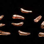 Stout Tungsten Bead Bodies - copper