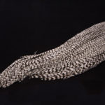 1/2 Whiting Dry Fly Capes Bronze - grizzly