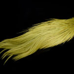 1/2 Whiting Dry Fly Capes Bronze - olive