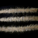 EP Foxy Brush - coyote