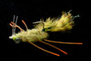 EP Permit Crab olive green