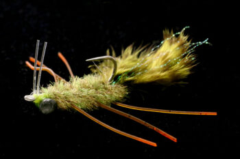 EP Permit Crab olive green