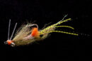 EP Spawning Shrimp olive