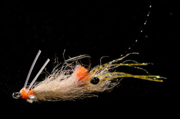EP Spawning Shrimp tan