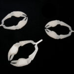 Flats Craft Cray Craws - natural