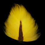 FWU Premium Bucktail - yellow