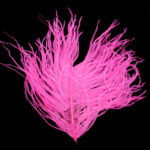 Ostrich Glory Feather - pink