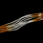 Shrimpy Crabby Legs - brown