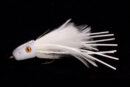 SS DB Slider white