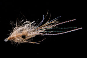 Shaggy Shrimp