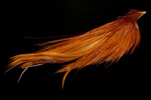 1/2 Whiting Dry Fly Cape medium ginger