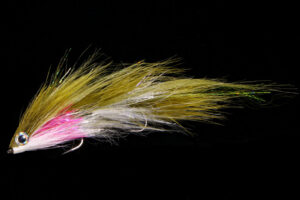 Andreas Andersson's Ragdolly rainbow trout