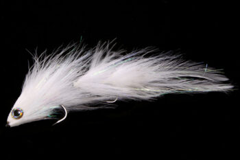 Andreas Andersson's Ragdolly white