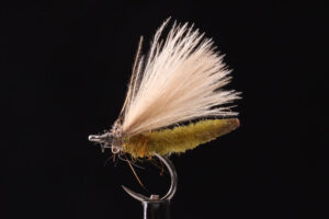 AB Sedge olive