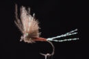 CDC Snow Flake Dun brown