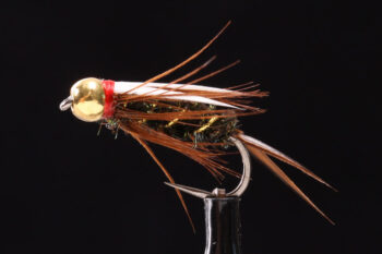 Prince Nymph