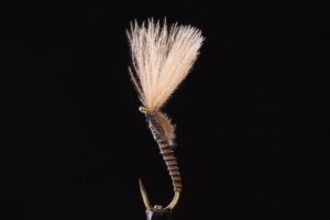 Vladko Emerger brown