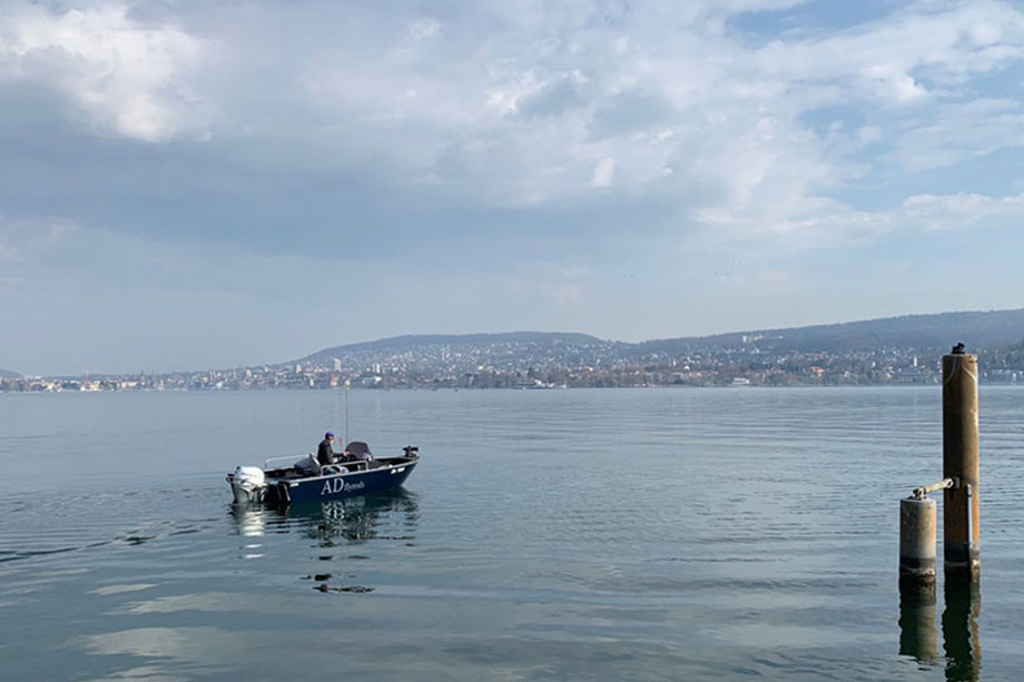 Zürichsee Guiding