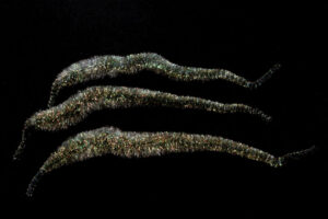 Crystal Tails black