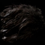 Schlappen - black