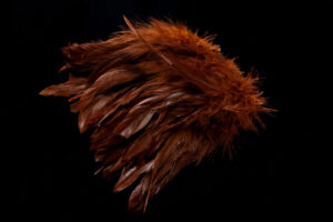 Schlappen fiery brown