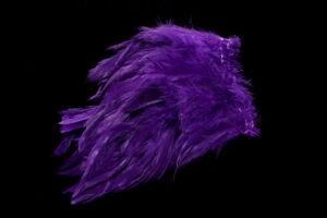 Schlappen purple