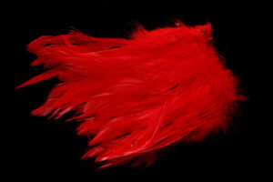 Schlappen red