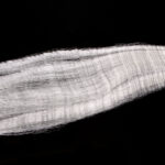 Strung Fuzzy Fiber - white