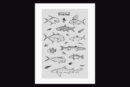Creatures of the Seven Seas Poster