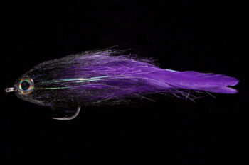 GT Magic Dancer black/purple
