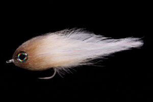 GT Magic Dancer tan/white