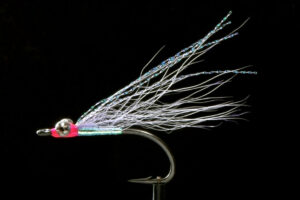 Peter's Fly