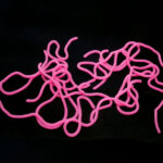 Caster's Squirmito - pink