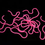 Hends Squirmy Worms - pink