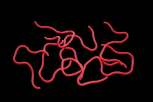 Hends Squirmy Worms dark red