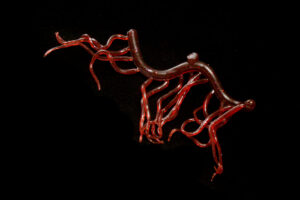 Mini Squiggle Worms sangria