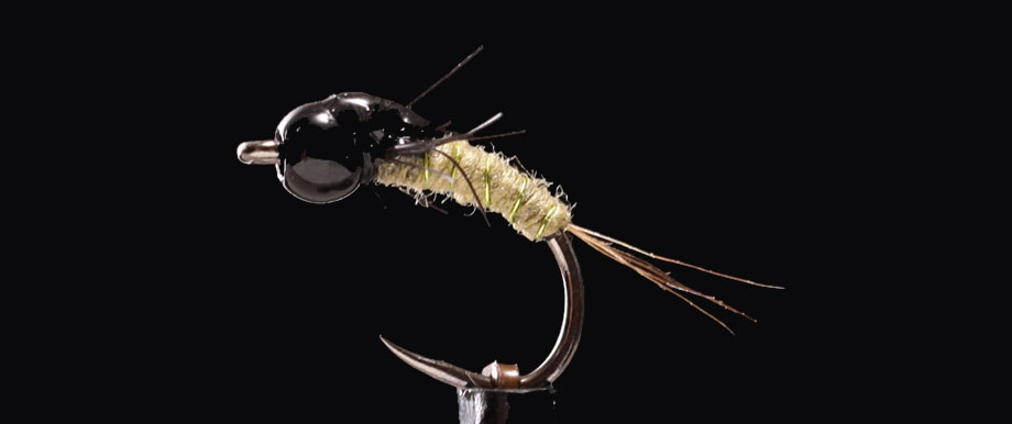 baetis_nymph_styler_02 Baetis Nymphe