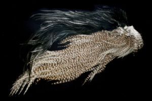 Whiting Coq de Leon Predator Pack Silver-grizzly pardo/black