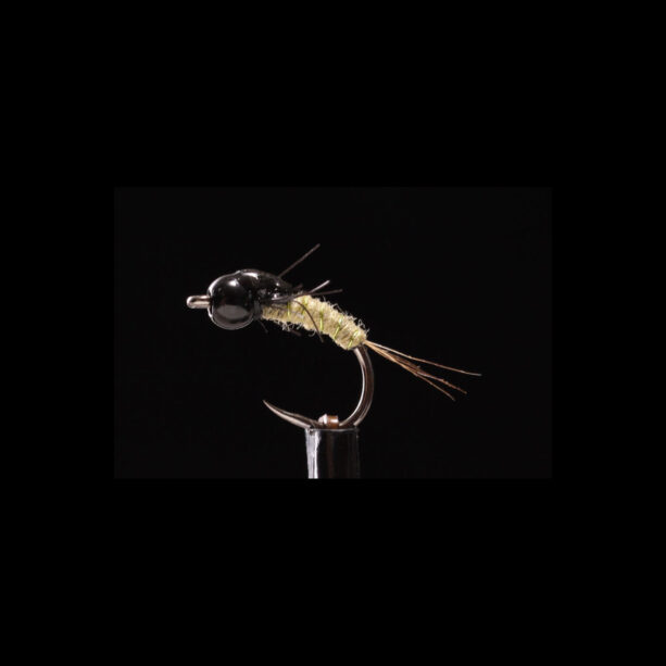 Baetis Nymph